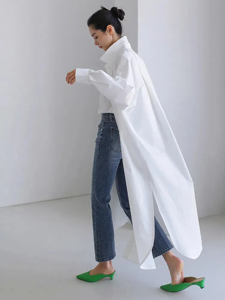 Anastasia Casual Long Oversized Blouse