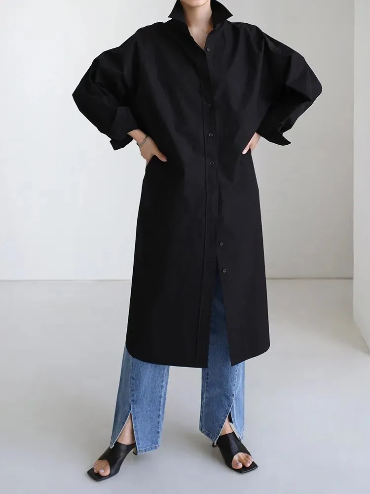 Anastasia Casual Long Oversized Blouse
