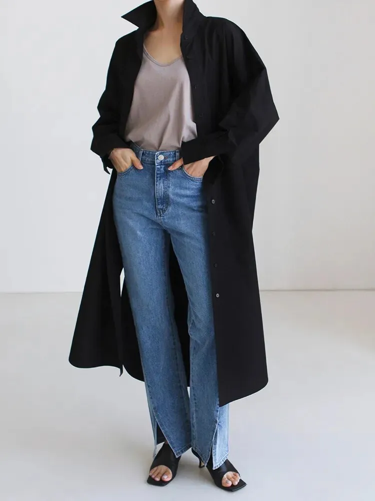 Anastasia Casual Long Oversized Blouse