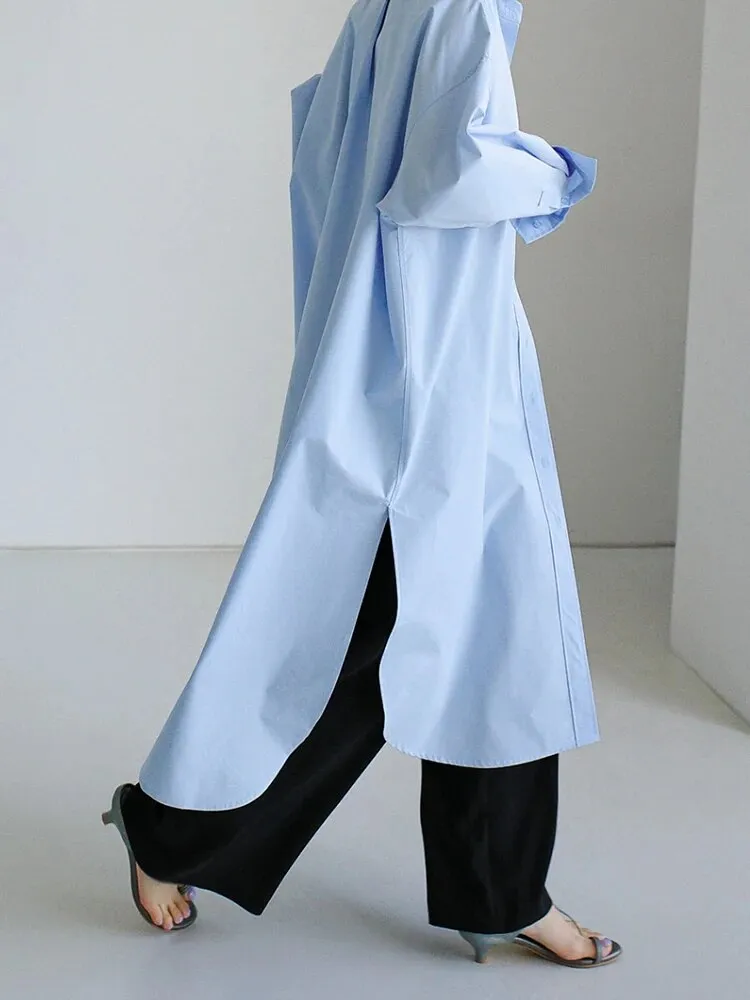 Anastasia Casual Long Oversized Blouse